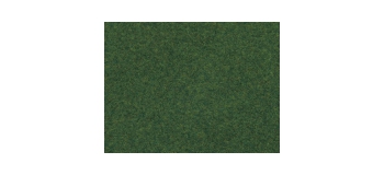 modelisme ferroviaire : NOCH NO07081 - Herbes sauvages, vertes moyen, 6 mm